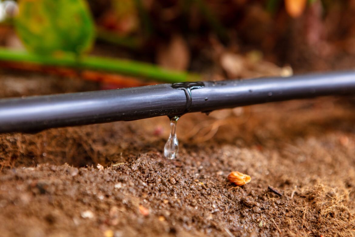 Drip Irrigation And Water Management H O Global News