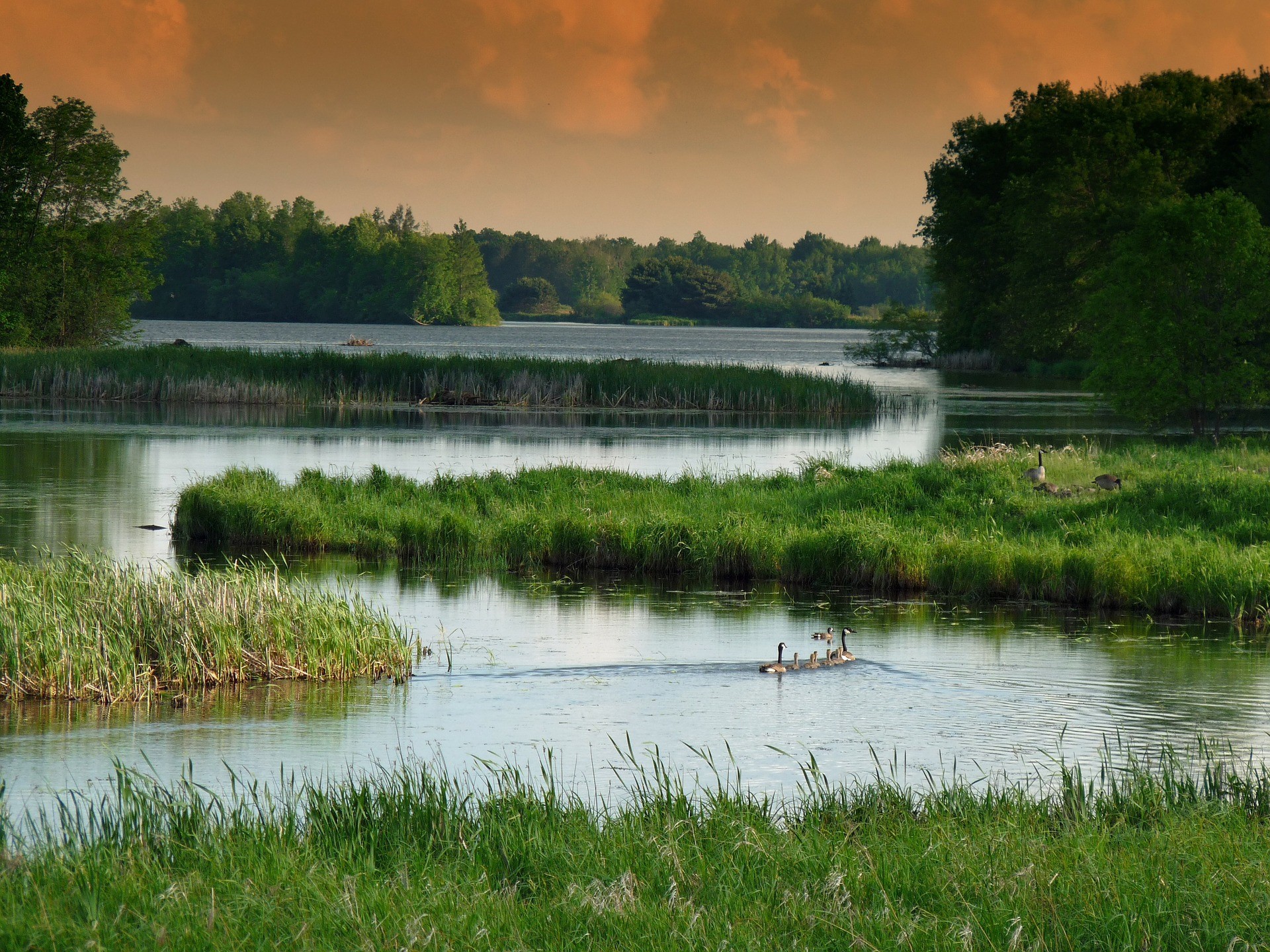 Nature Based Solutions – Water Climate Discussion Full Report