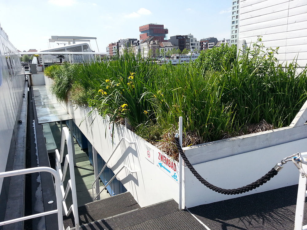 Wetlands aboard the ‘Badboot’