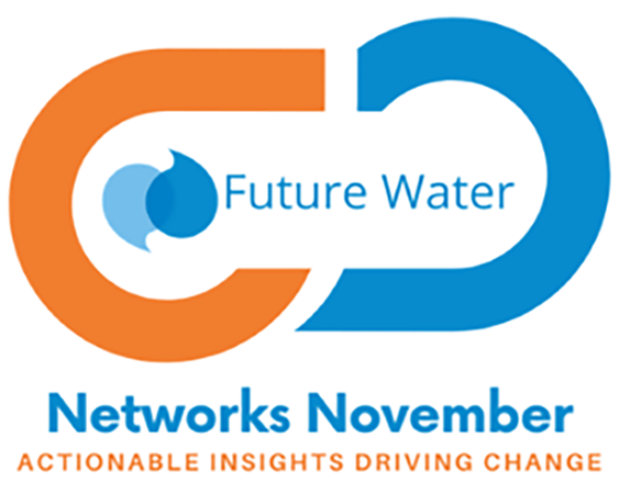 Copy of November Networks logo long 300x240 2