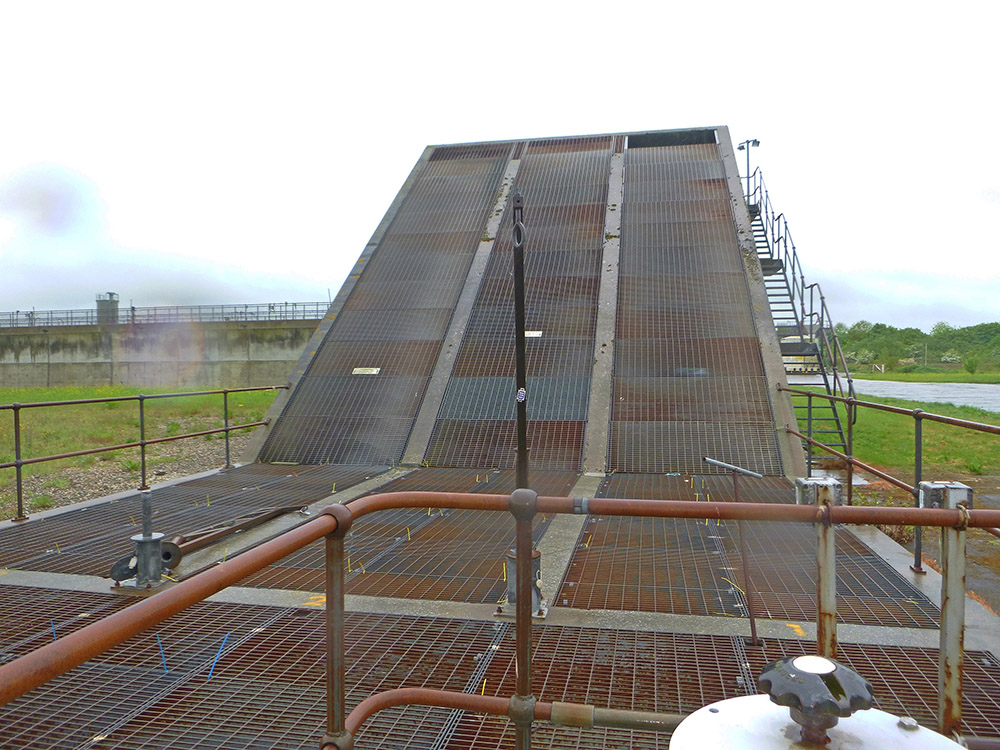 Archimedes Screws