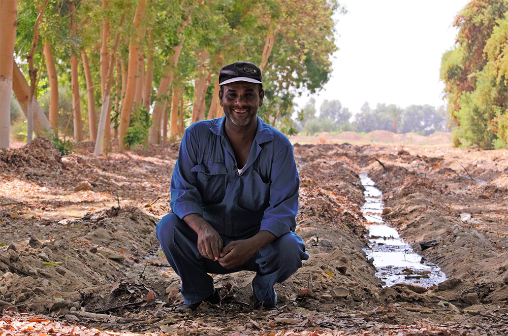 A worker in agroforestry in Luxor governorate, Egypt. Sustainable water supply - Photo credit: Javier Mateo-Sagasta / IWMI