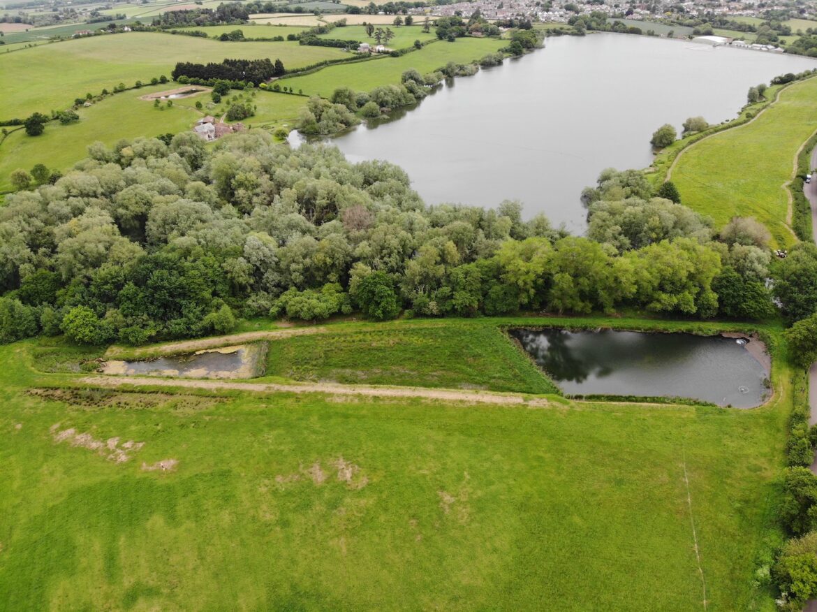 Power of nature drives water quality improvements at Durleigh | H2O ...
