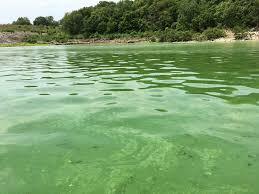 Lakes Are Turning Green