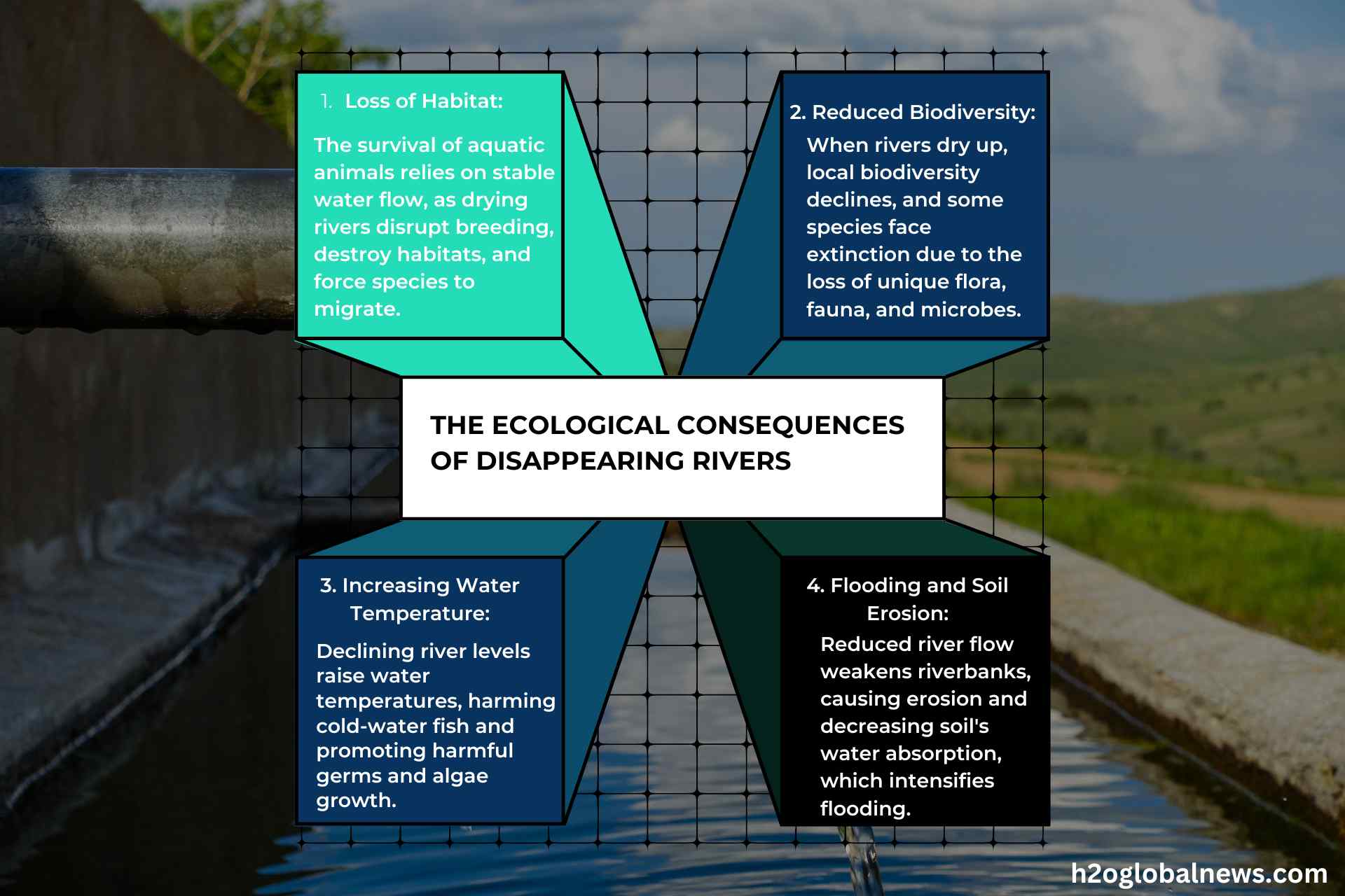 The Ecological Consequences of Disappearing Rivers