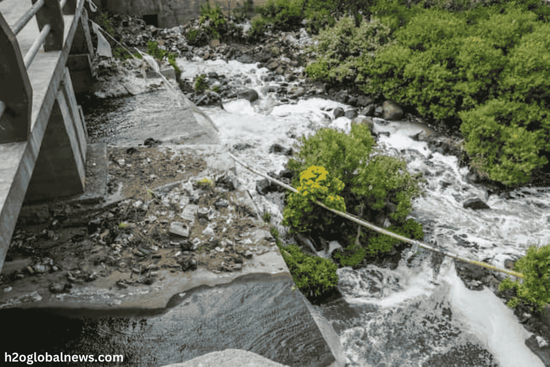 Impact on River Ecosystems