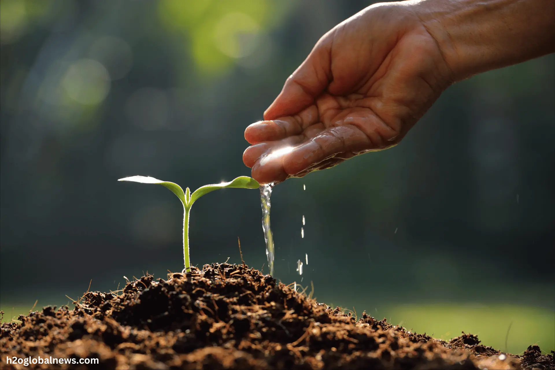 Water Conservation in Agriculture