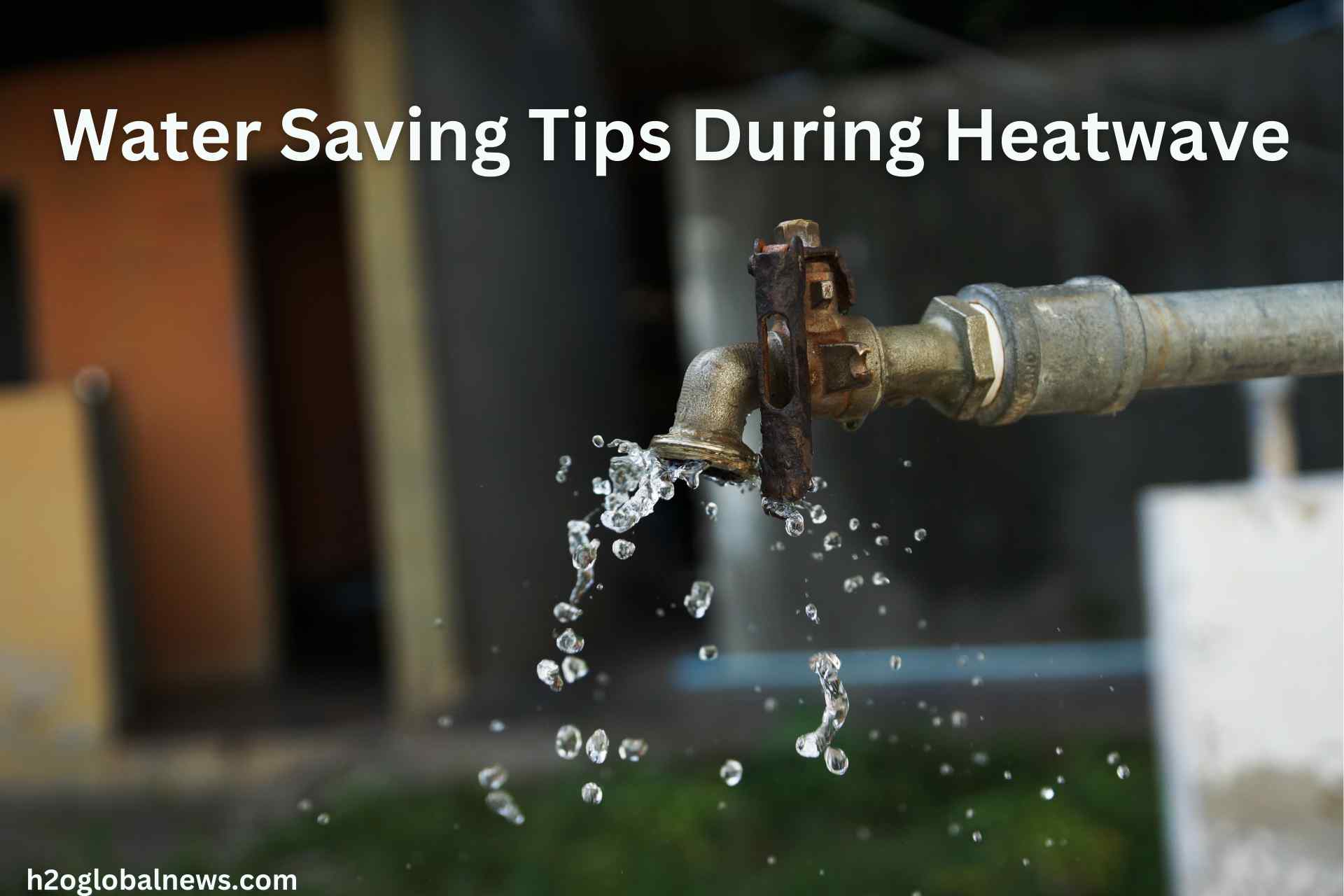 Water Saving Tips During a Heatwave