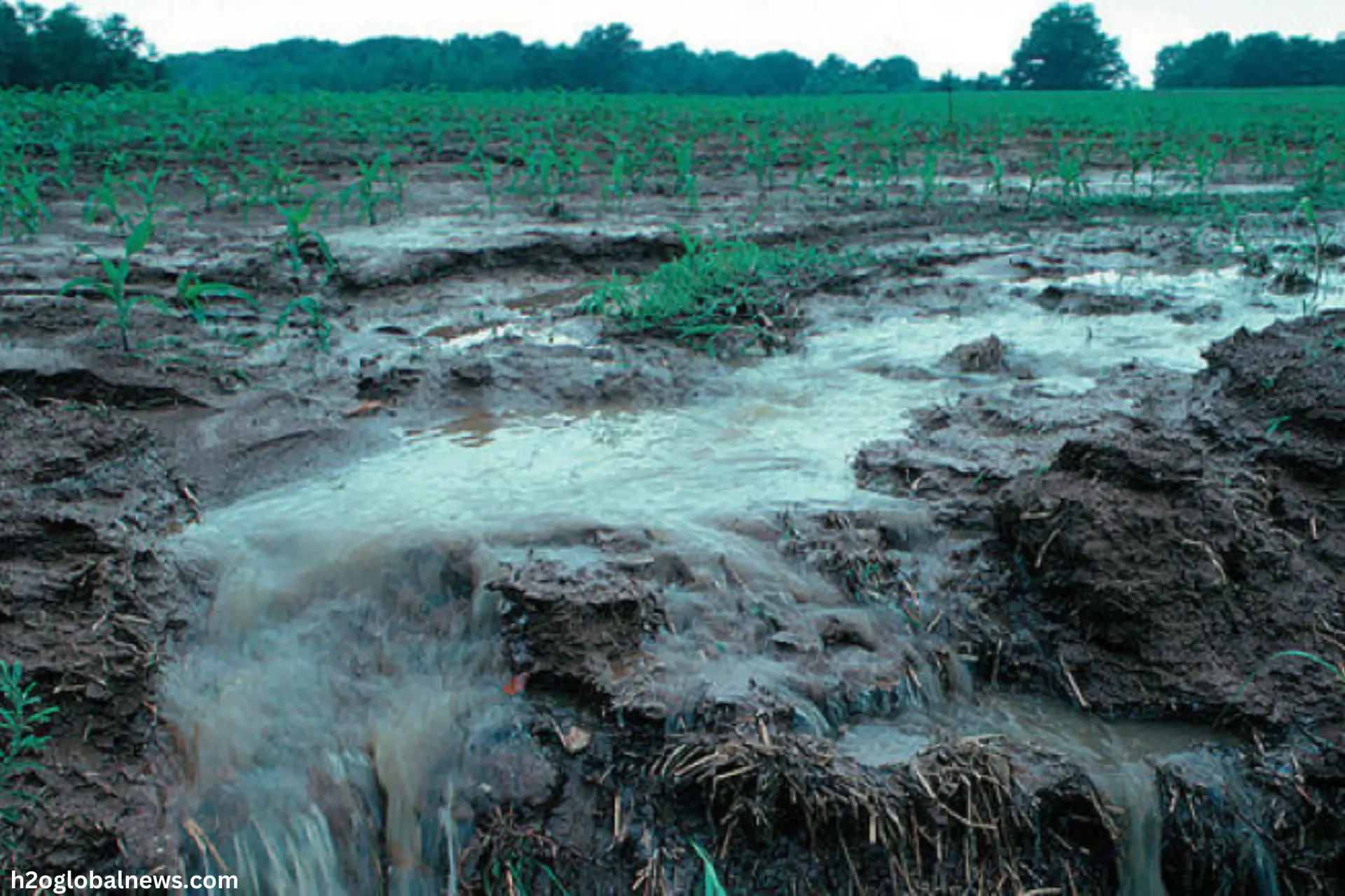 water pollution due to agriculture runoff 