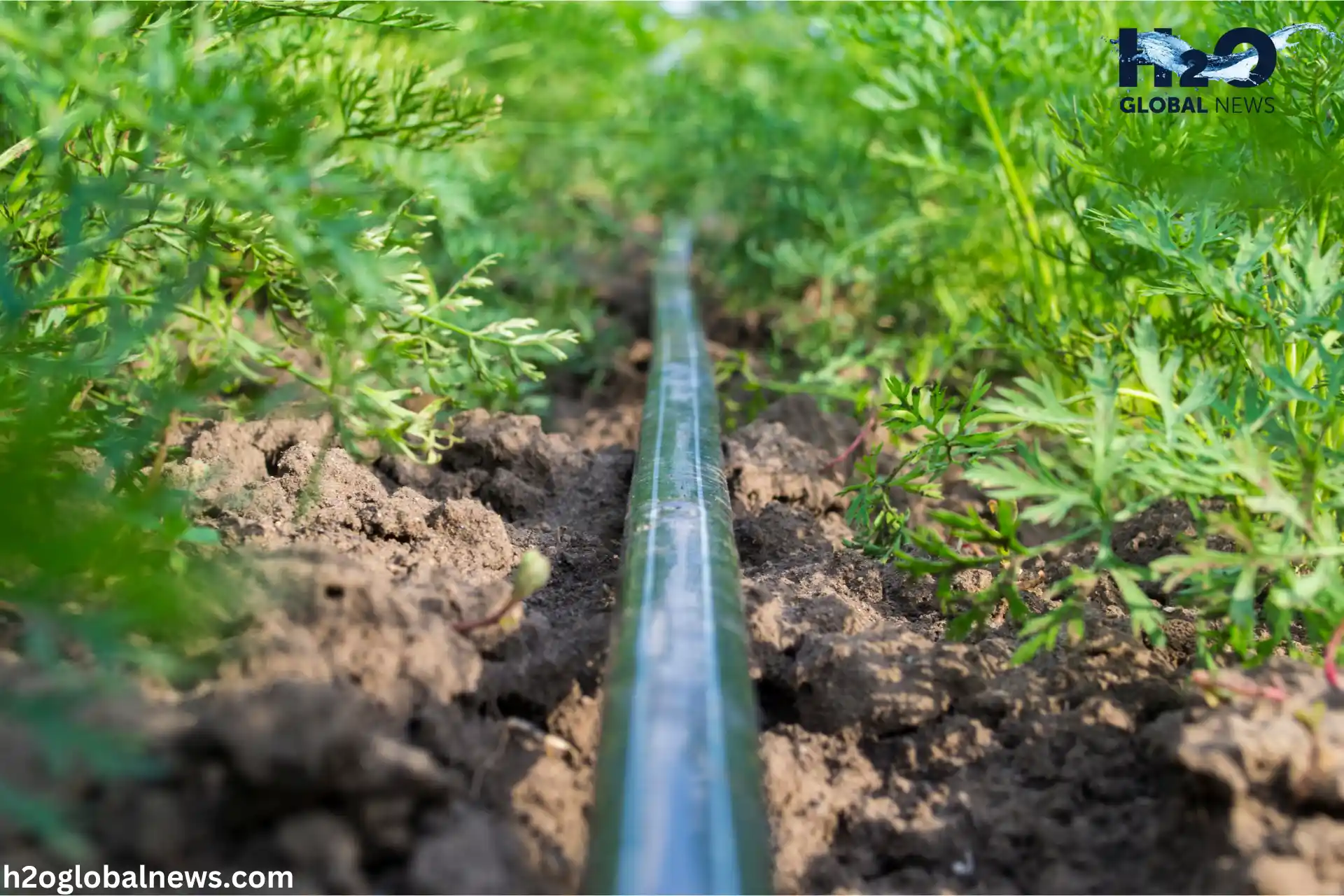 What is Drip Irrigation