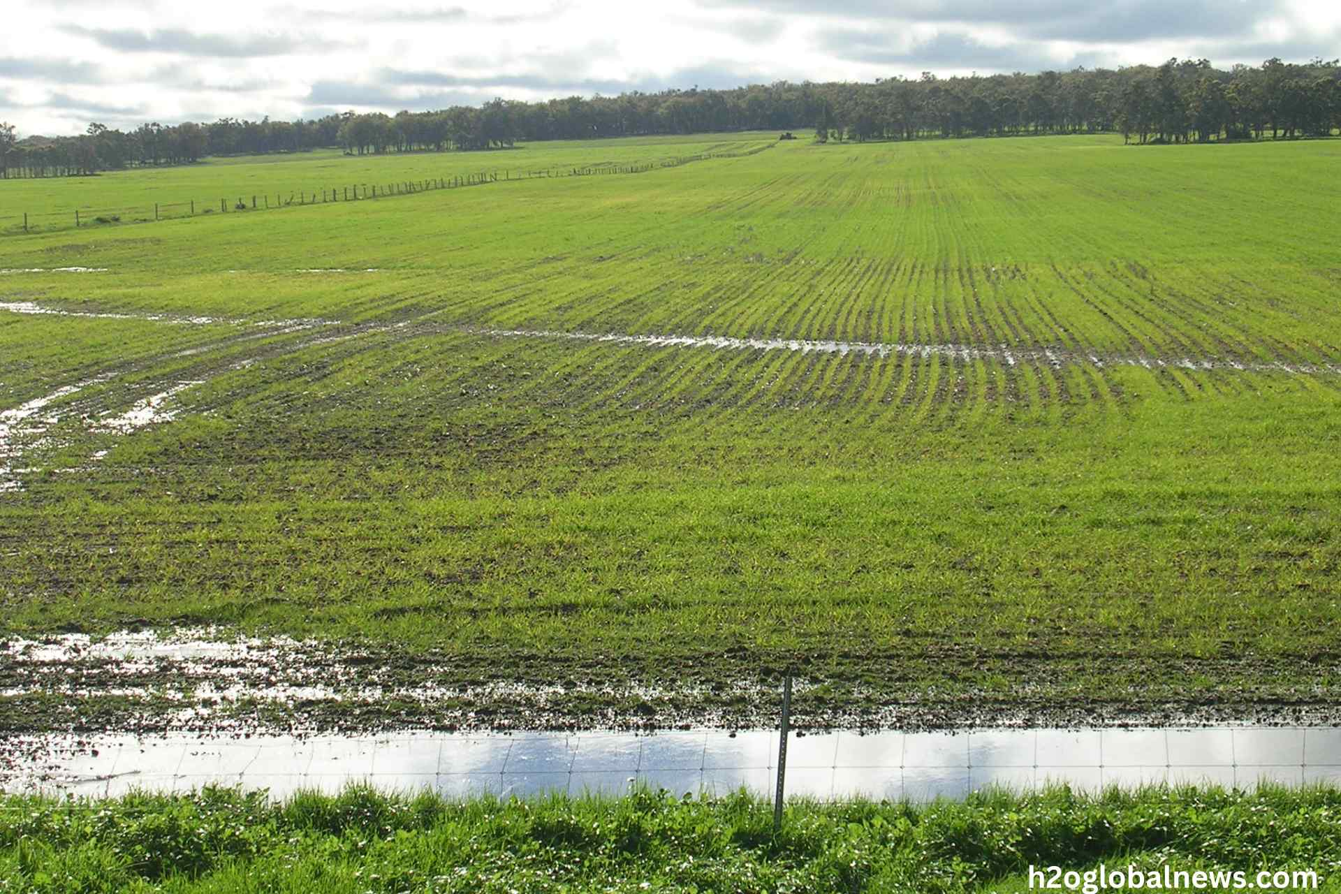 waterlogging and salinity