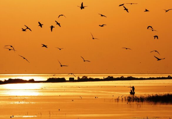 Protecting an Iraqi ecological treasure: the wetlands jewel of Ahwar ...