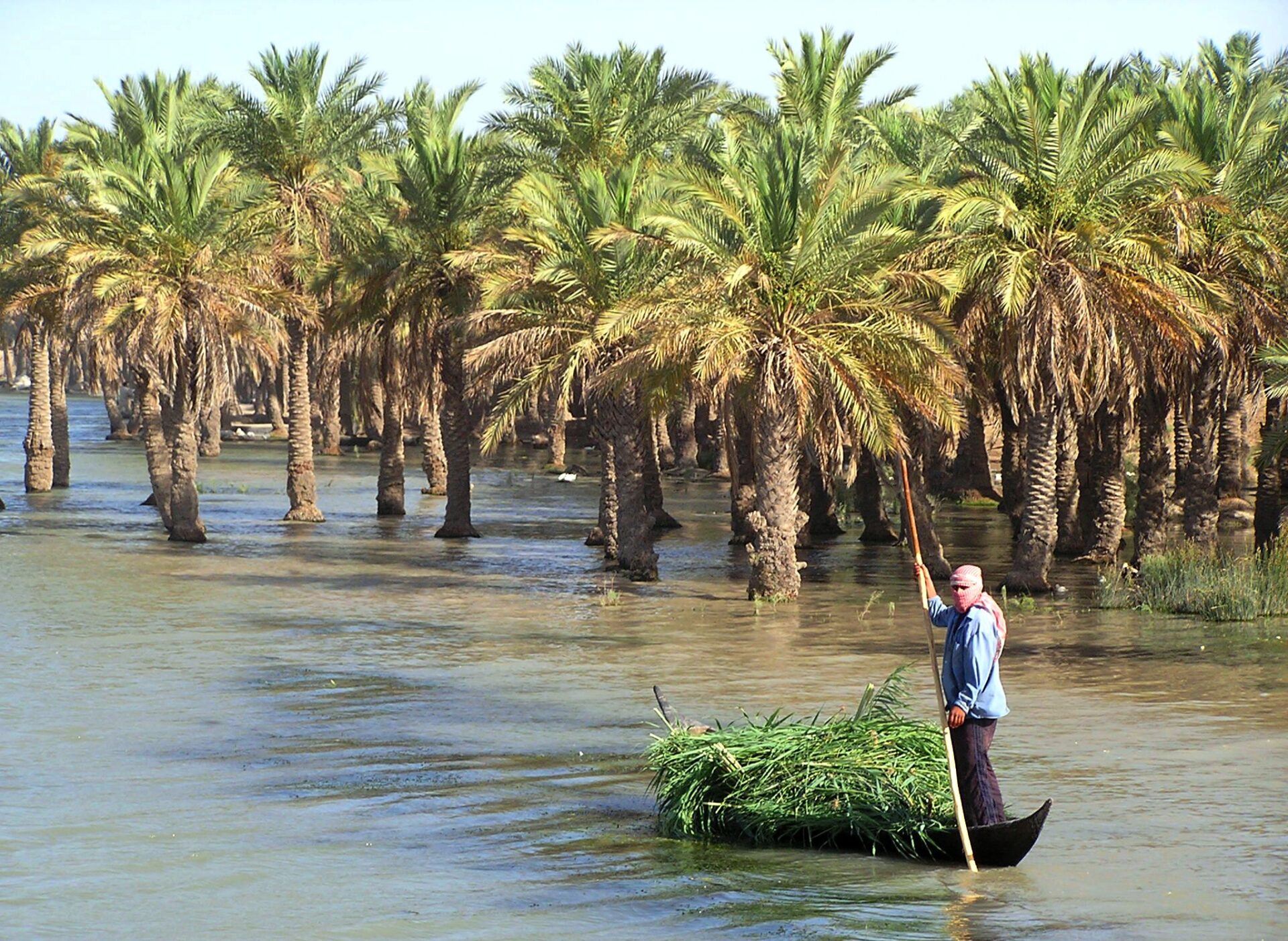 Protecting an Iraqi ecological treasure: the wetlands jewel of Ahwar ...