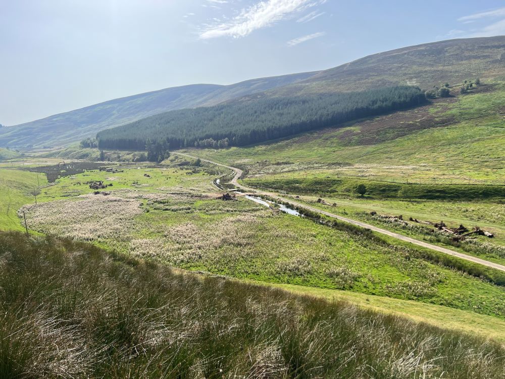 local flood resilience