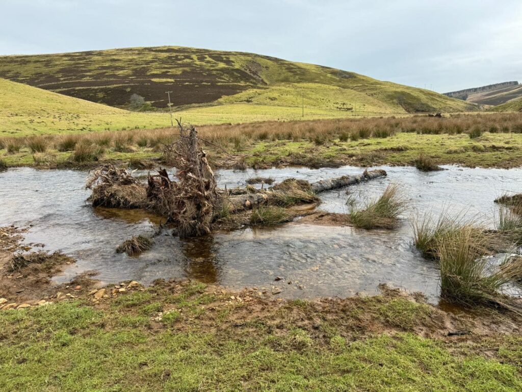 local flood resilience