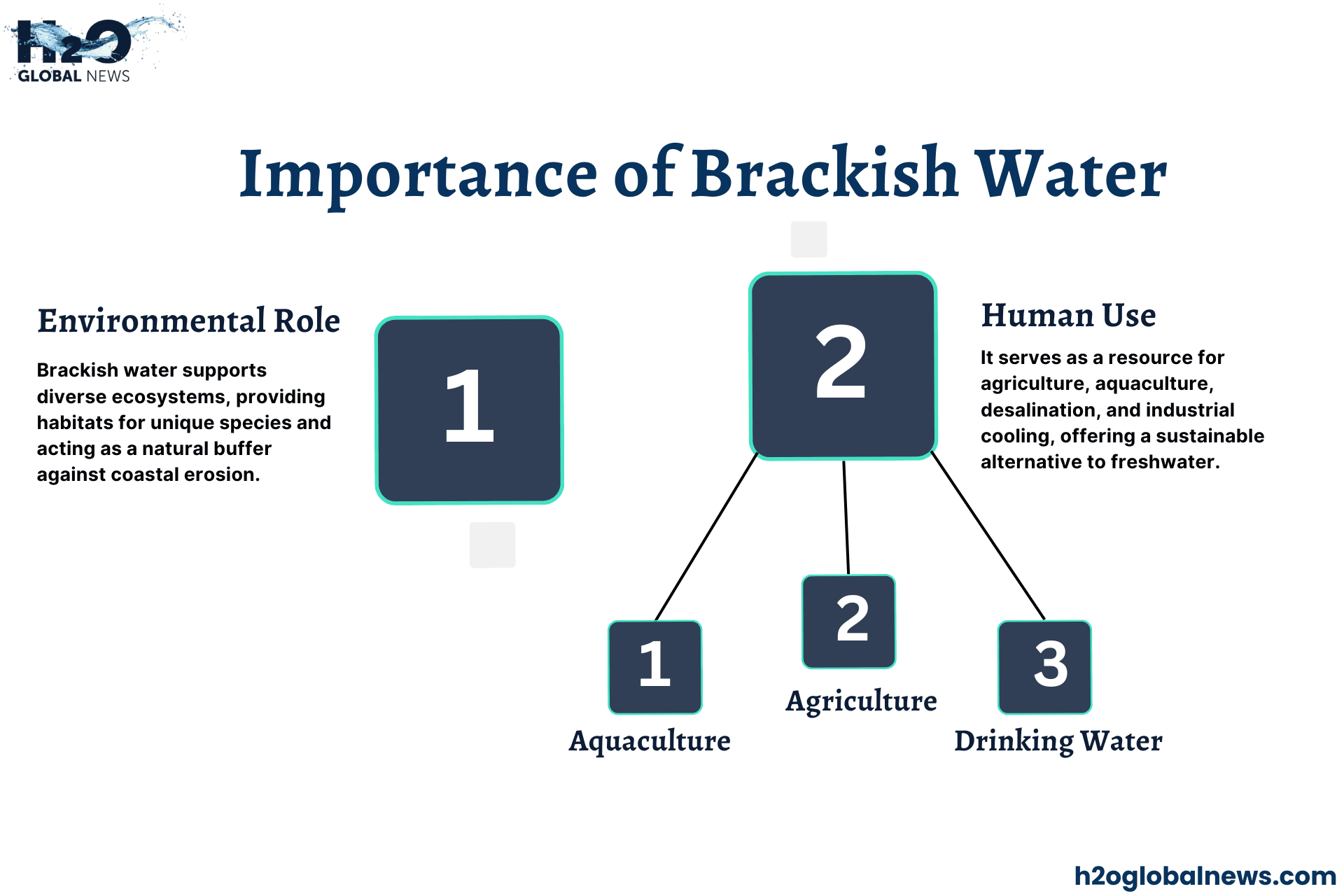 Importance of Brackish Water