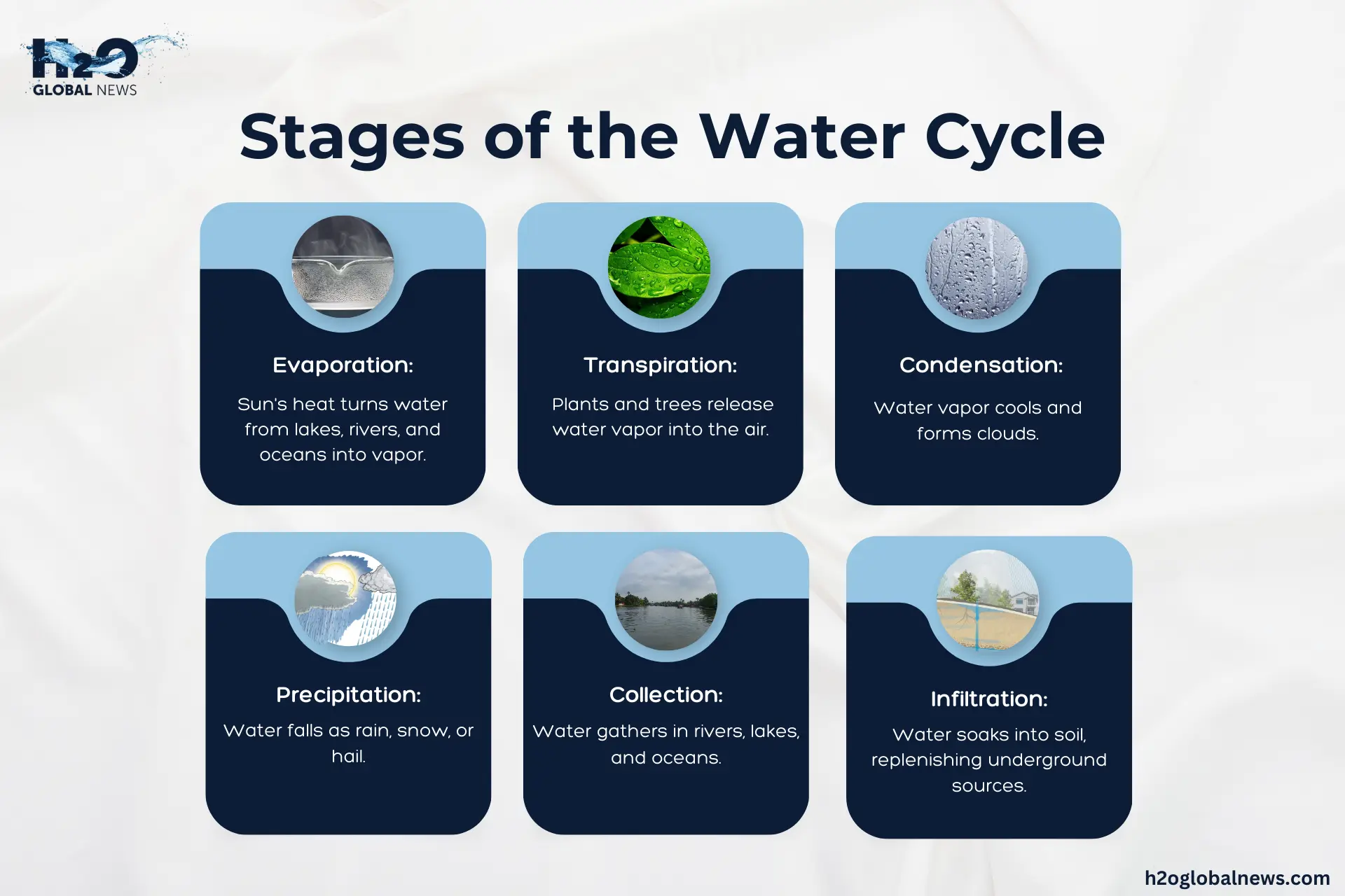 Stages of the Water Cycle