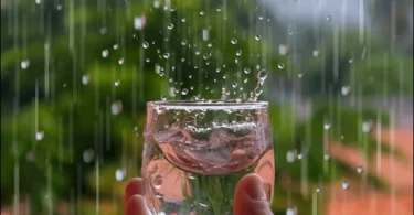 Can You Drink Rain Water