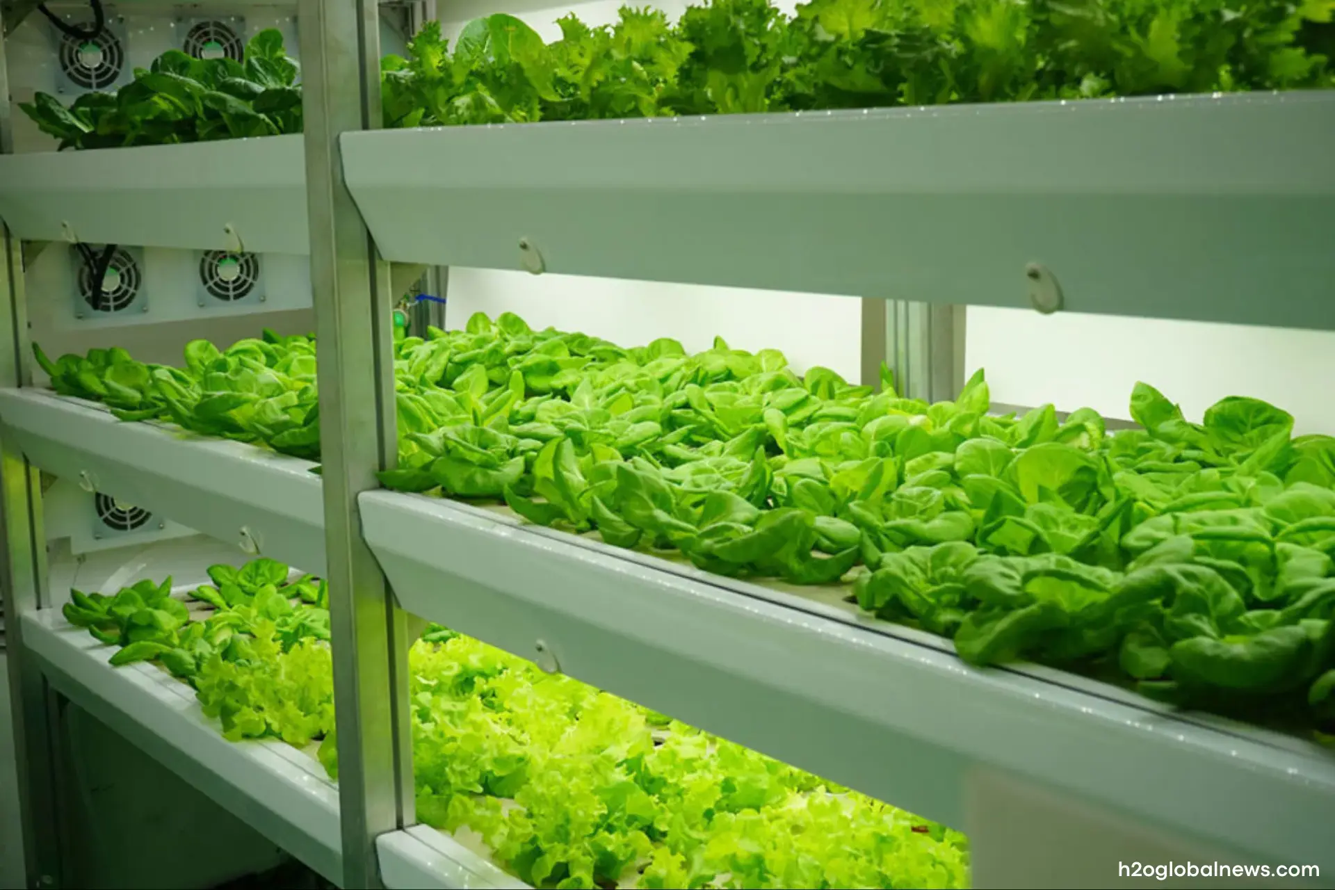 Energy-efficient climate control in Vertical Farms