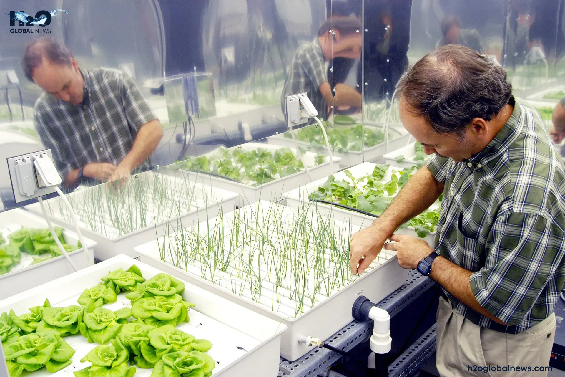 Hydroponic Vertical Farming Systems