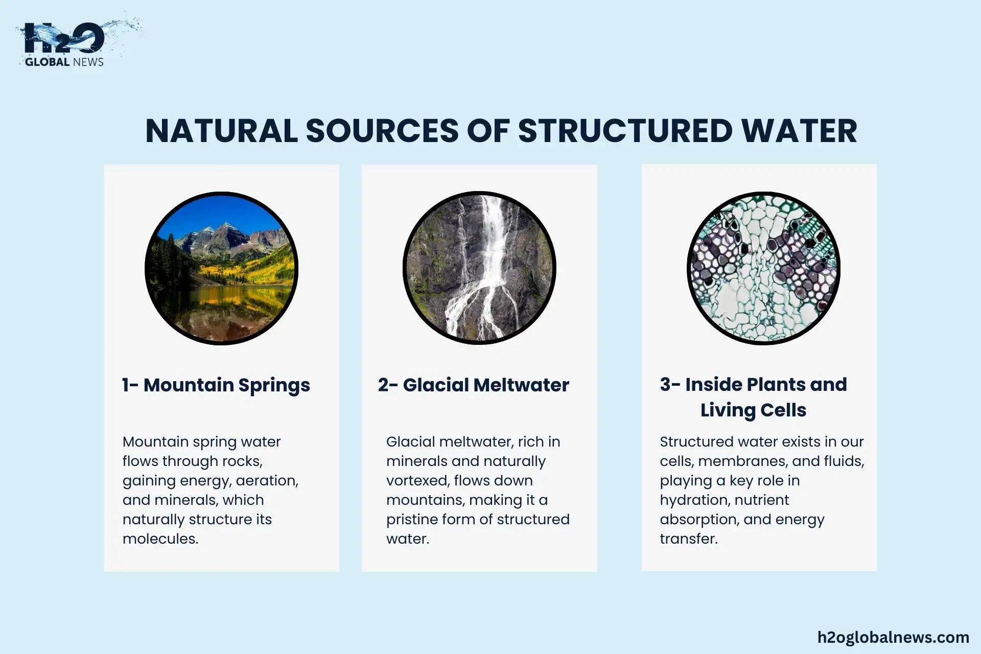 Natural Sources of Structured Water