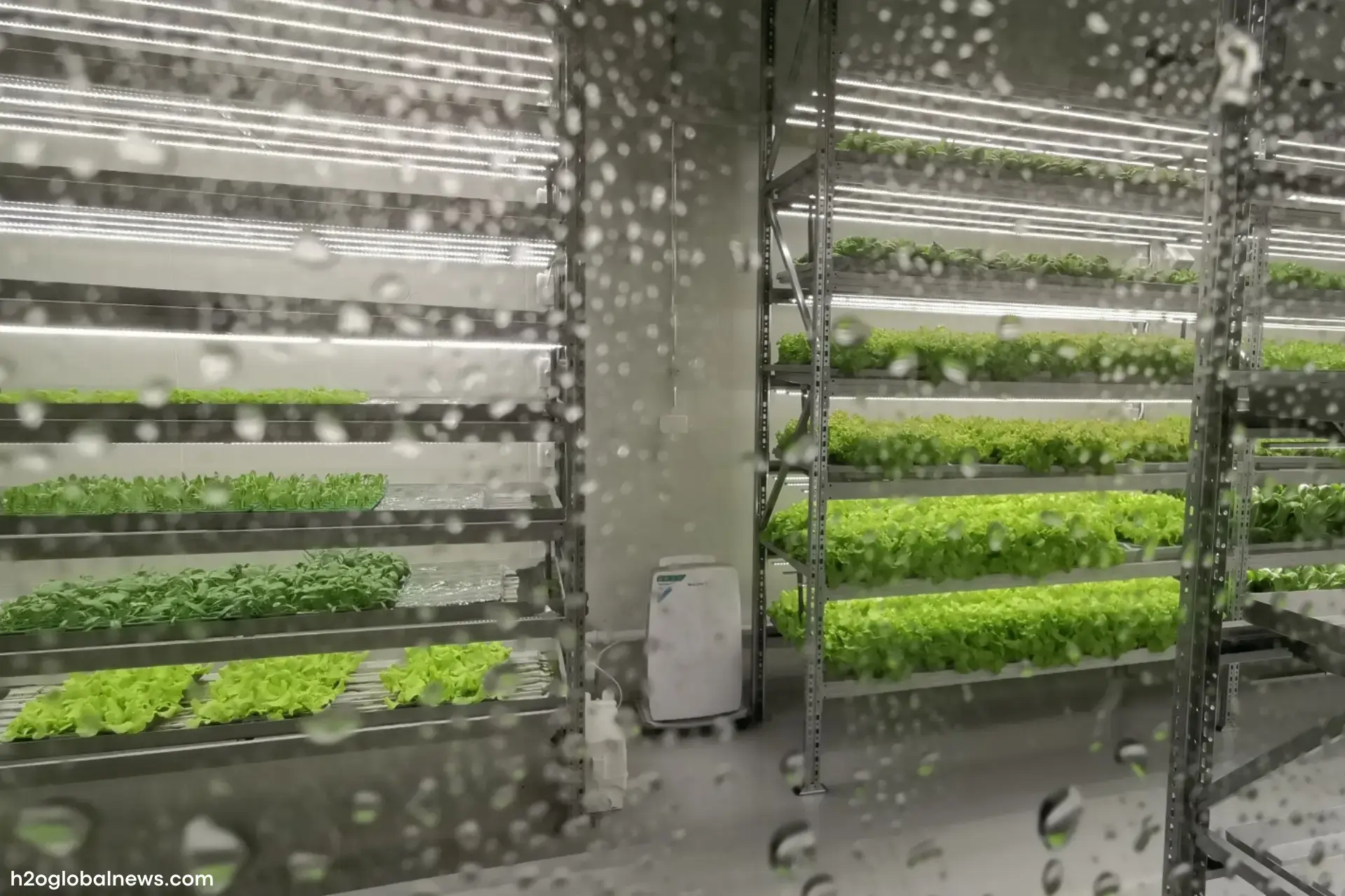 Water Usage in Vertical Farming