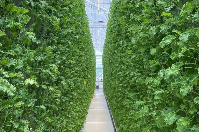 what is vertical farming