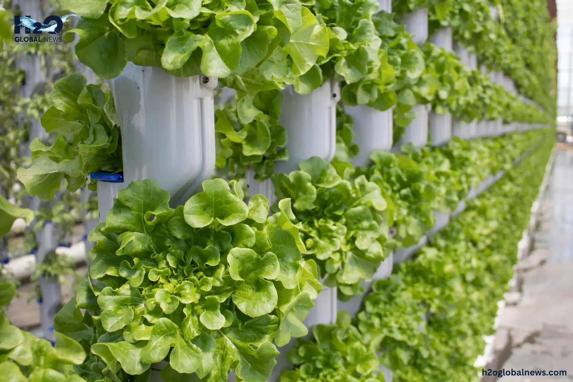 what is vertical farming