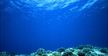 Why Is Water Blue