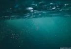 Microplastics suspended in drinking water &mdash; microscopic plastic particles invisible to the naked eye