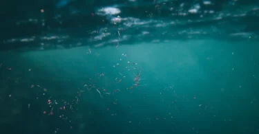 Microplastics suspended in drinking water — microscopic plastic particles invisible to the naked eye