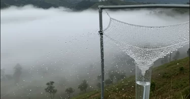 Fog harvesting against water shortage