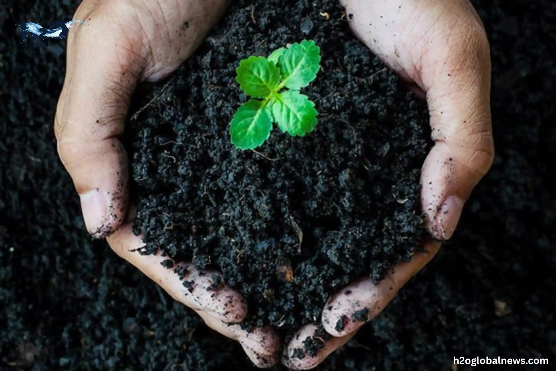 Crop Rotation Build Organic Matter in the Soil