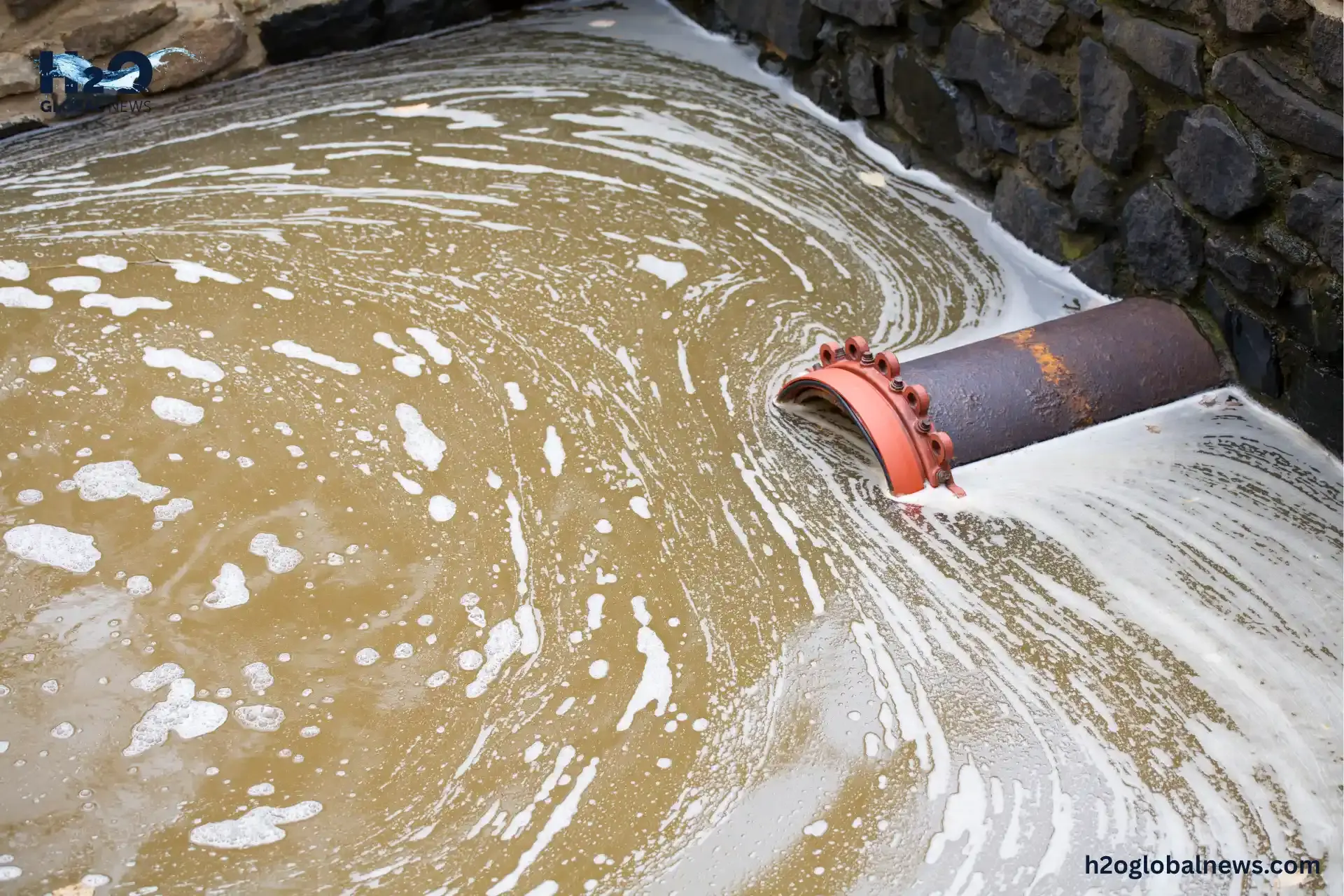 How Dangerous Is Stagnant Water