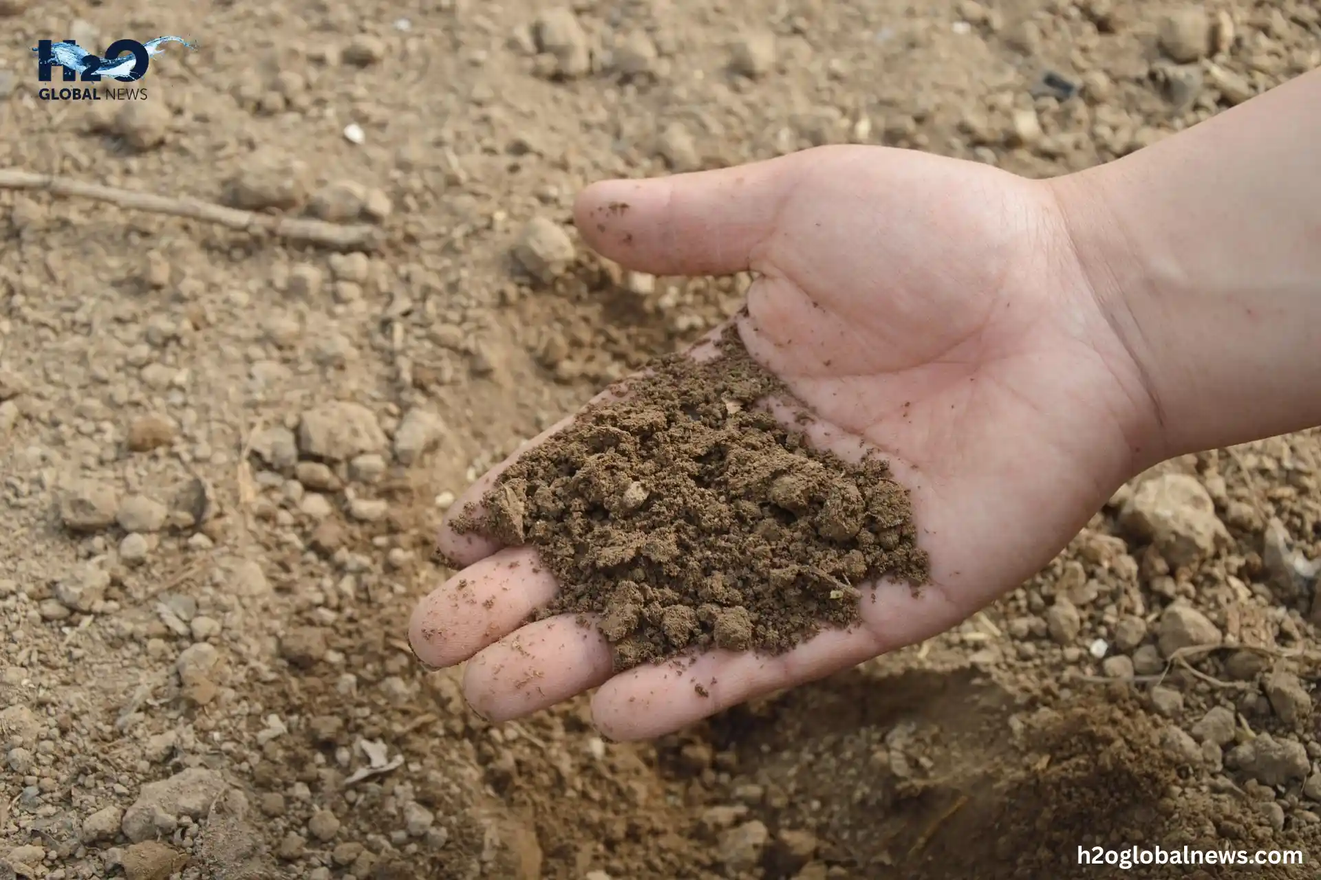  Crop Rotation Improves Soil Structure and Moisture Holding