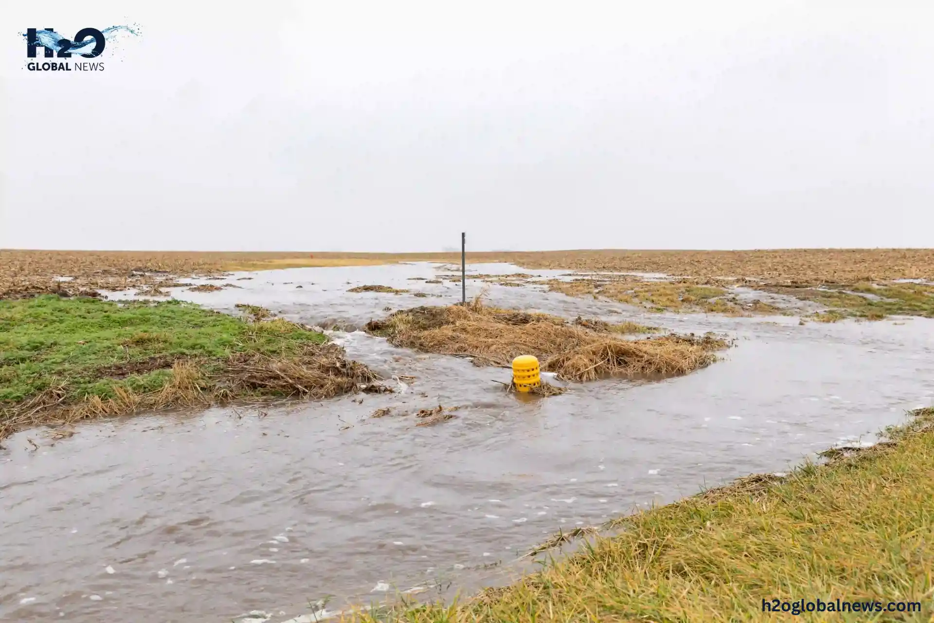 rotating crops Reduces Soil Erosion and Water Runoff