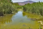 What Is Stagnant Water