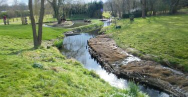 Restored section of the River Hart at Coxmoor Farm showing re-profiled riverbanks and improved channel flow.