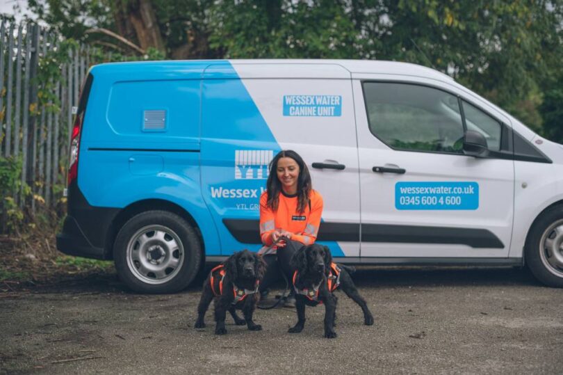 Wessex Water has introduced detection dogs Bluey and Bandit to tackle sewer misconnections, using their powerful sense of smell to protect rivers and prevent pollution.