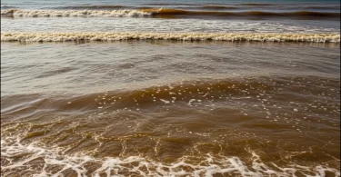 Water Turbidity