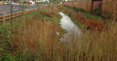 Integrated green and grey sustainable drainage system in a UK urban development