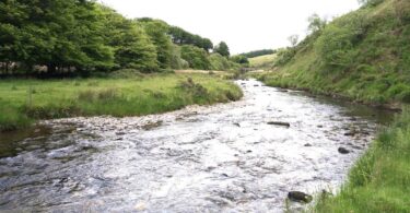 River in South West England benefiting from South West Water’s Upstream Thinking programme to reduce pollution and enhance biodiversity.
