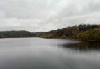 View of Ogden Reservoir surrounded by autumnal woodland under overcast skies