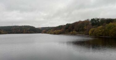 View of Ogden Reservoir surrounded by autumnal woodland under overcast skies