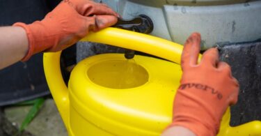 Hands wearing gardening gloves filling a yellow watering can with collected rainwater from a water butt tap.