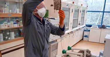 Person wearing protective equipment examining wet wipe samples in a laboratory during analysis for the WRc waste autopsy.