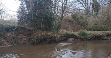 A view of the Micker Brook in Cheadle with muddy riverbanks, flowing brown water and leafless winter trees.
