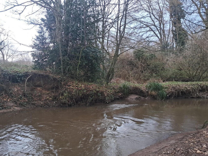 A view of the Micker Brook in Cheadle with muddy riverbanks, flowing brown water and leafless winter trees.