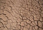 Cracked, dried mud surface in Azraq, Jordan, illustrating extreme water scarcity.