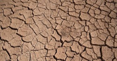 Cracked, dried mud surface in Azraq, Jordan, illustrating extreme water scarcity.